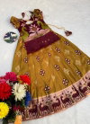 Ajd 8161 Zari Weaving Work Lehenga With Blouse Wholesale Price In Surat